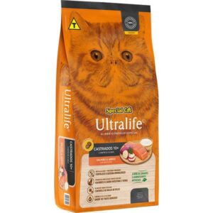 gatos